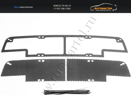 Renault-Sandero 2009—2013-Защитная сетка переднего бампера (с ДХО)-шагрень