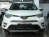 Решетка в бампер d-16 Toyota Rav-4 2015-наст.вр.