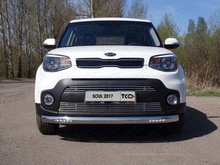 Kia Soul 2017-	Решетка радиатора нижняя 12мм