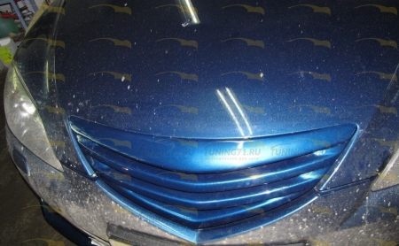 2004 - 2008  Mazda 3 HB Решетка радиатора Extremma ABS пластик Решетка радиатора 1 шт., алюминиевая крашенная сетка 1 шт.