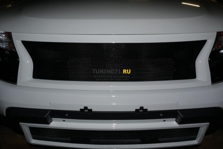2011 -  Renault Duster Решетка на бампер Sport ABS пластик Решетка на бампер 1 шт., алюминиевая крашенная сетка 1 шт.